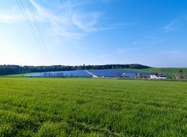 Torfige und organische Böden