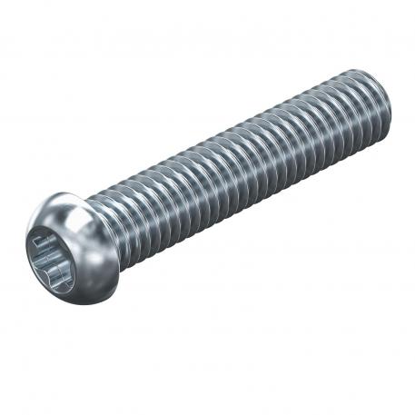 Šroub s plochou hlavou, vnitřní Torx, ocel 35 | M6